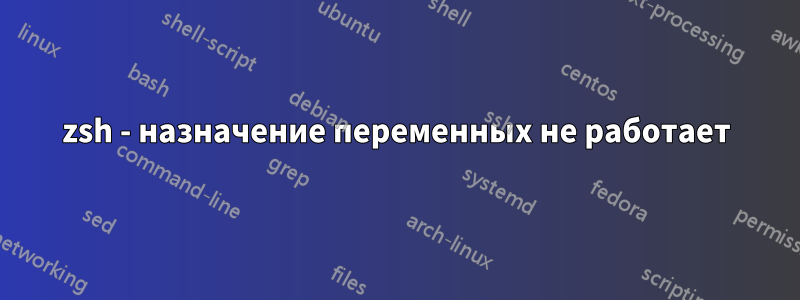 zsh - назначение переменных не работает