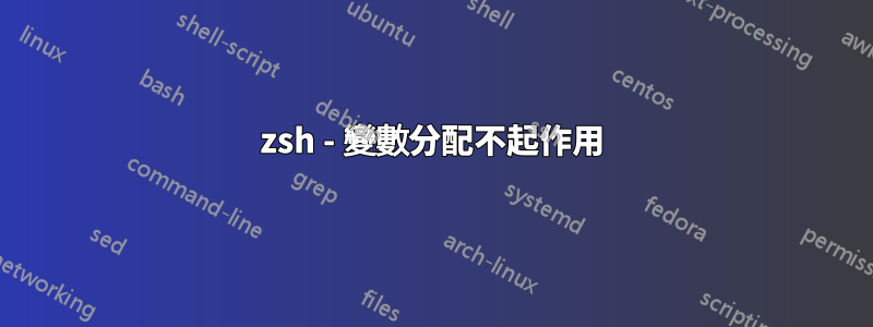 zsh - 變數分配不起作用