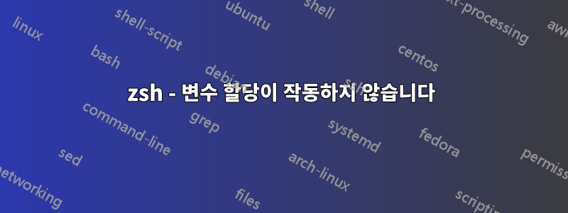 zsh - 변수 할당이 작동하지 않습니다