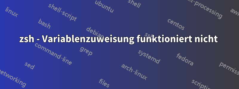 zsh - Variablenzuweisung funktioniert nicht