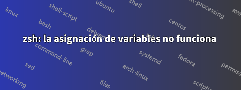 zsh: la asignación de variables no funciona