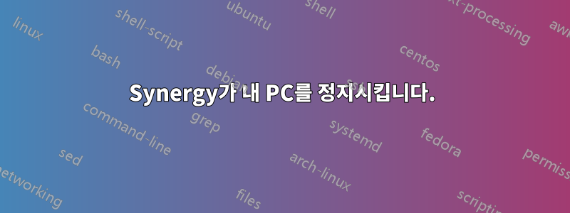 Synergy가 내 PC를 정지시킵니다.