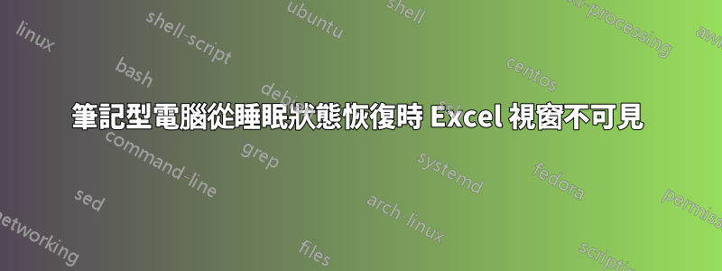 筆記型電腦從睡眠狀態恢復時 Excel 視窗不可見