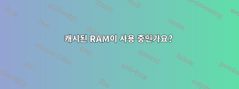 캐시된 RAM이 사용 중인가요?