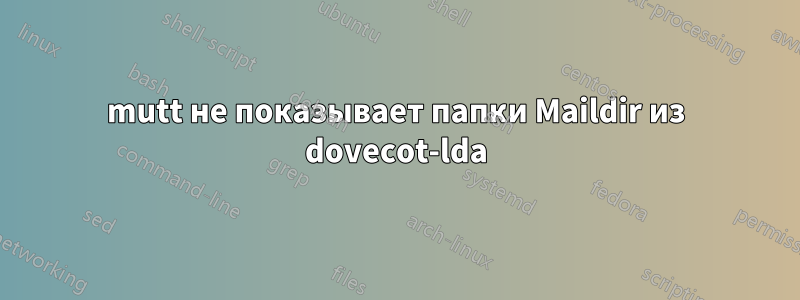 mutt не показывает папки Maildir из dovecot-lda