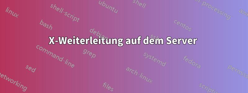 X-Weiterleitung auf dem Server