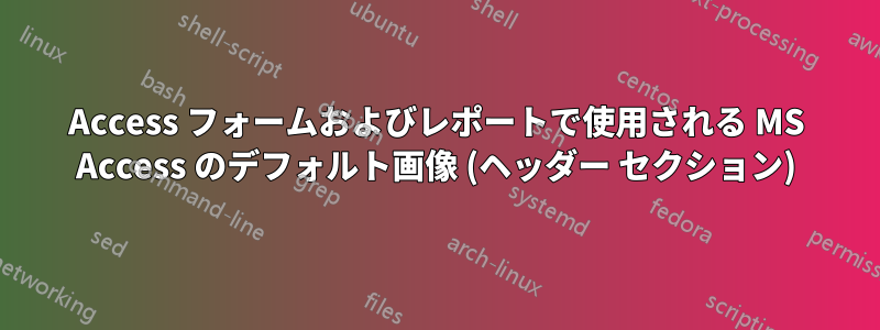 Access フォームおよびレポートで使用される MS Access のデフォルト画像 (ヘッダー セクション)