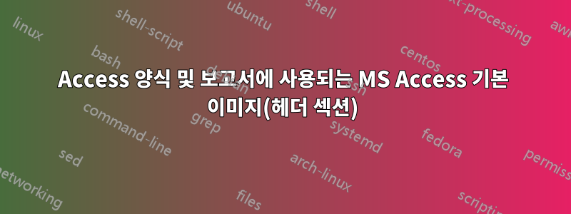 Access 양식 및 보고서에 사용되는 MS Access 기본 이미지(헤더 섹션)