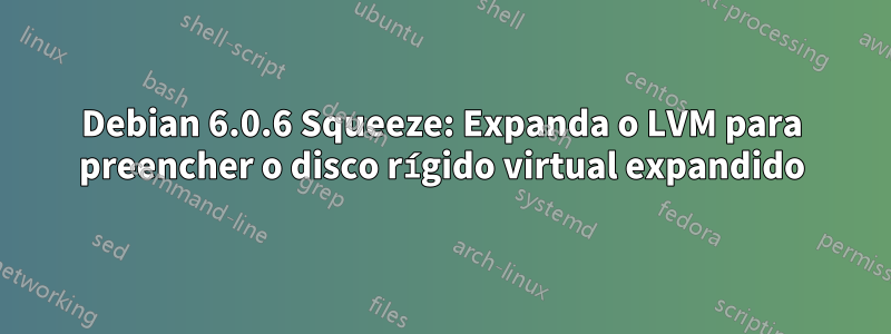 Debian 6.0.6 Squeeze: Expanda o LVM para preencher o disco rígido virtual expandido