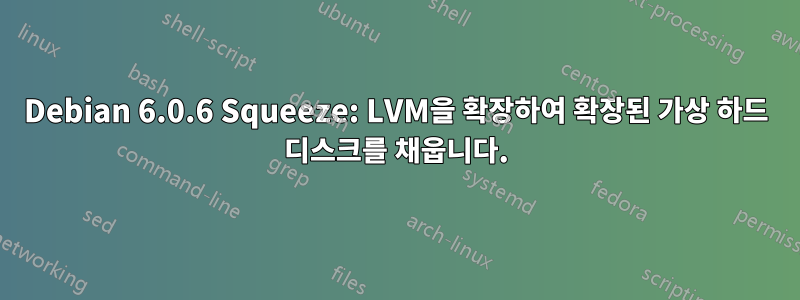 Debian 6.0.6 Squeeze: LVM을 확장하여 확장된 가상 하드 디스크를 채웁니다.