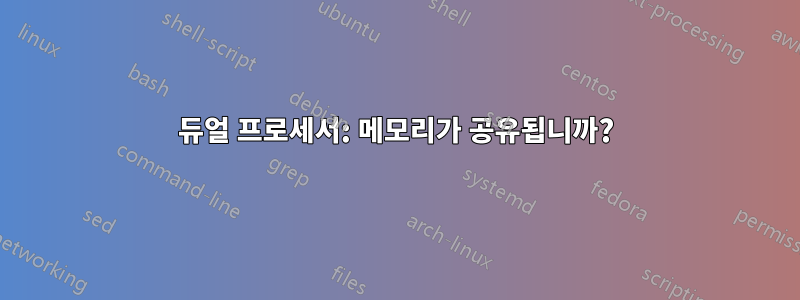 듀얼 프로세서: 메모리가 공유됩니까?