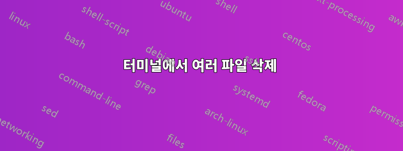 터미널에서 여러 파일 삭제