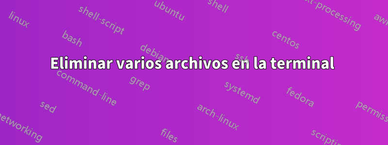 Eliminar varios archivos en la terminal