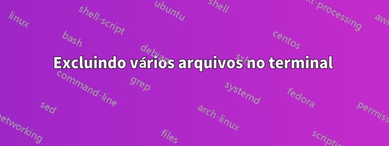 Excluindo vários arquivos no terminal