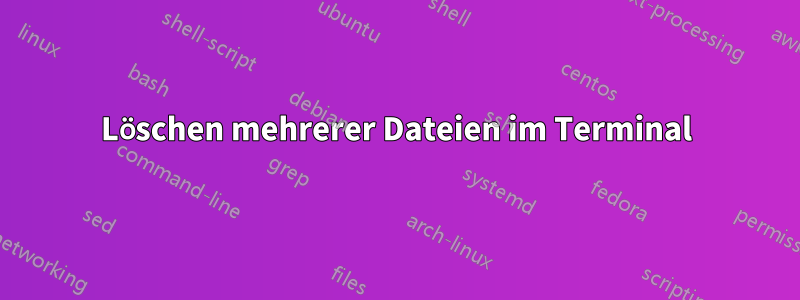 Löschen mehrerer Dateien im Terminal