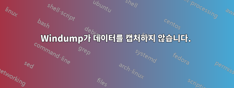 Windump가 데이터를 캡처하지 않습니다.