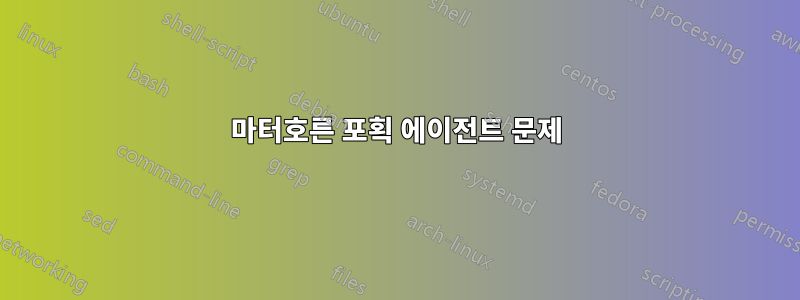 마터호른 포획 에이전트 문제