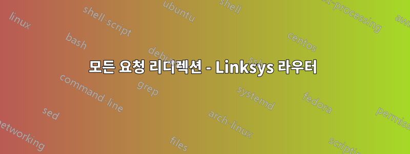 모든 요청 리디렉션 - Linksys 라우터