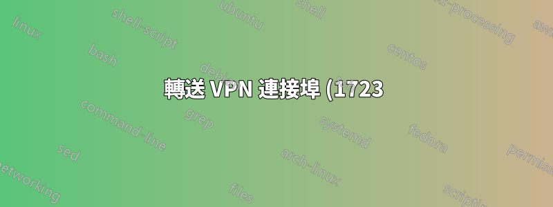 轉送 VPN 連接埠 (1723) 禁用伺服器上的互聯網
