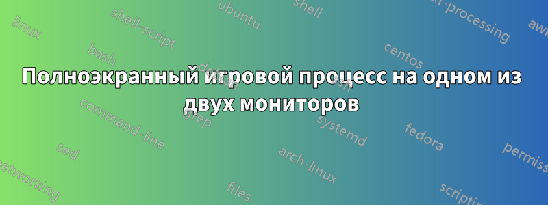 Полноэкранный игровой процесс на одном из двух мониторов