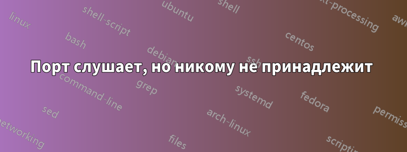 Порт слушает, но никому не принадлежит