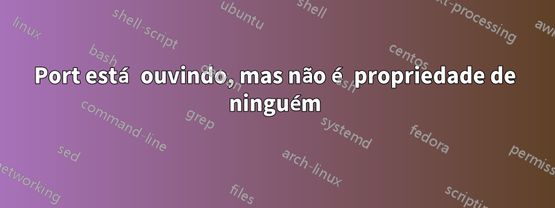 Port está ouvindo, mas não é propriedade de ninguém