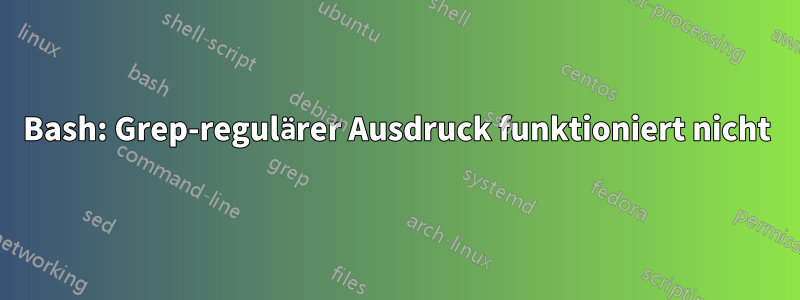 Bash: Grep-regulärer Ausdruck funktioniert nicht