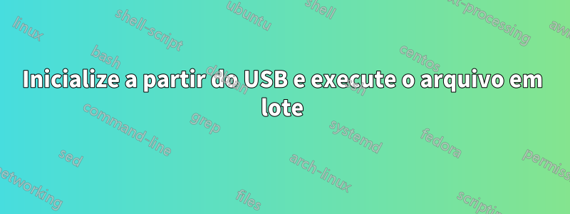 Inicialize a partir do USB e execute o arquivo em lote