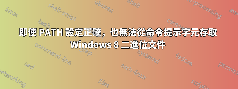 即使 PATH 設定正確，也無法從命令提示字元存取 Windows 8 二進位文件