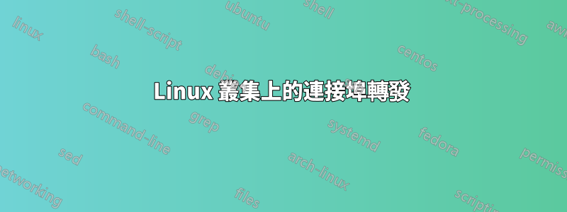 Linux 叢集上的連接埠轉發