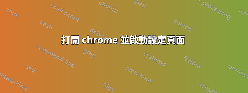 打開 chrome 並啟動設定頁面