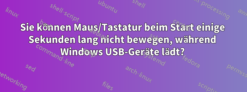 Sie können Maus/Tastatur beim Start einige Sekunden lang nicht bewegen, während Windows USB-Geräte lädt?