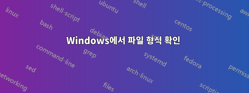 Windows에서 파일 형식 확인