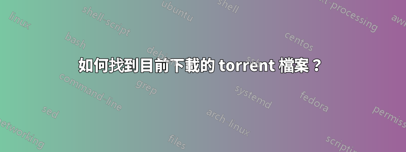 如何找到目前下載的 torrent 檔案？