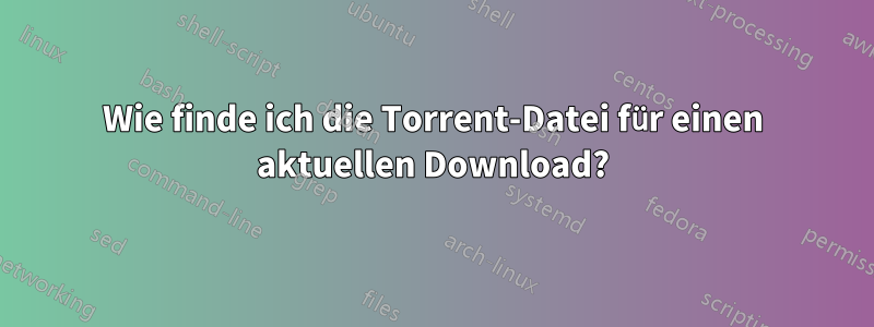 Wie finde ich die Torrent-Datei für einen aktuellen Download?