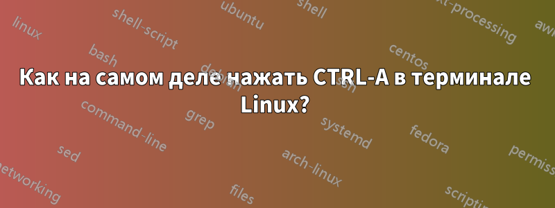 Как на самом деле нажать CTRL-A в терминале Linux?