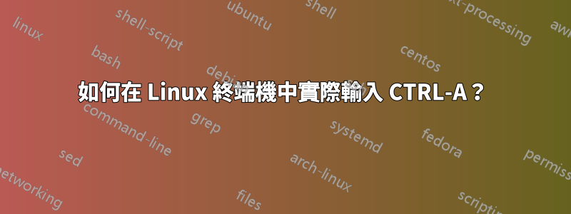 如何在 Linux 終端機中實際輸入 CTRL-A？