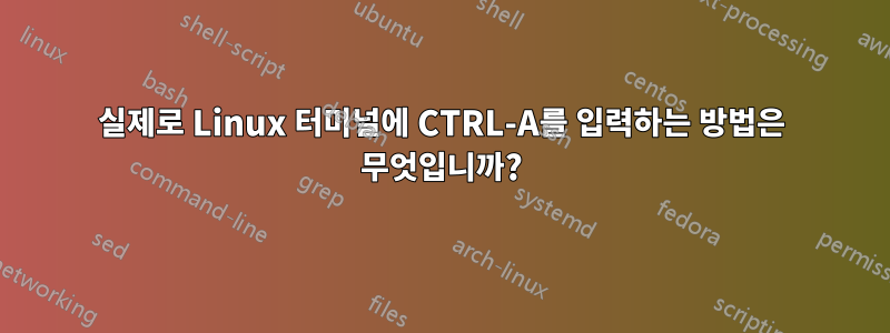 실제로 Linux 터미널에 CTRL-A를 입력하는 방법은 무엇입니까?