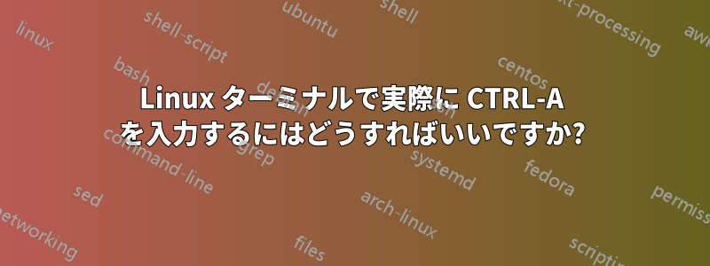 Linux ターミナルで実際に CTRL-A を入力するにはどうすればいいですか?