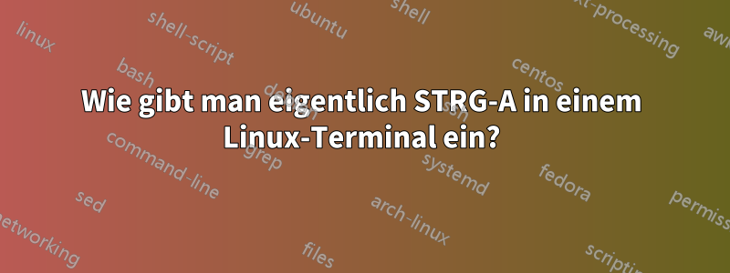 Wie gibt man eigentlich STRG-A in einem Linux-Terminal ein?