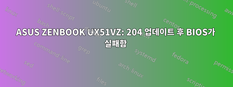 ASUS ZENBOOK UX51VZ: 204 업데이트 후 BIOS가 실패함
