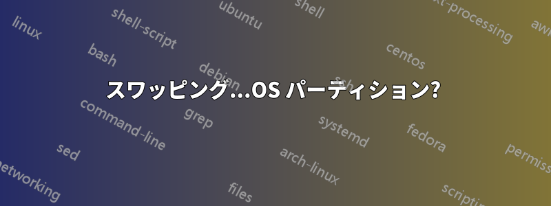 スワッピング...OS パーティション?
