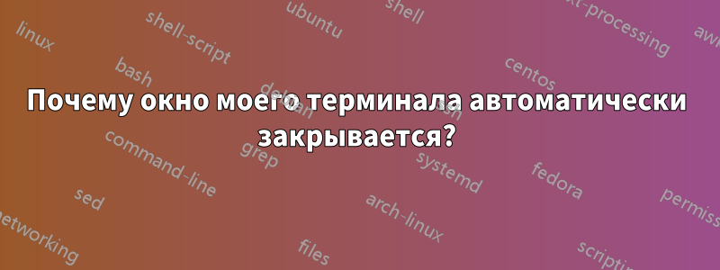 Почему окно моего терминала автоматически закрывается?