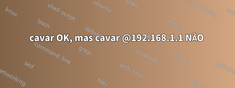 cavar OK, mas cavar @192.168.1.1 NÃO