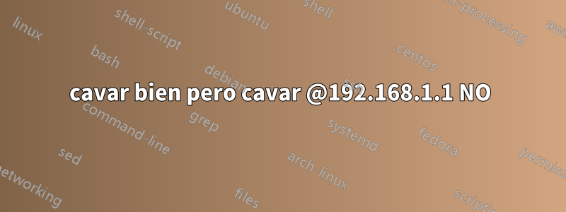cavar bien pero cavar @192.168.1.1 NO