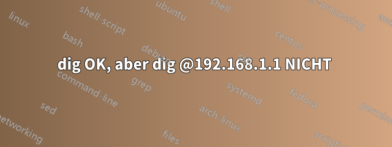 dig OK, aber dig @192.168.1.1 NICHT