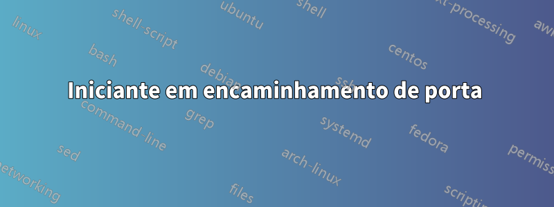 Iniciante em encaminhamento de porta