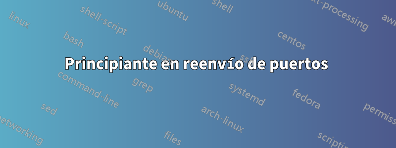Principiante en reenvío de puertos