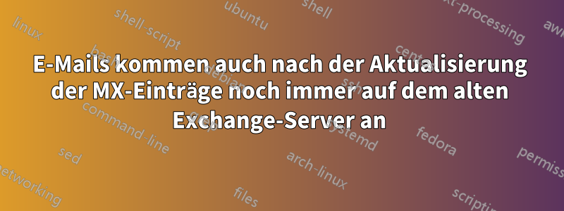 E-Mails kommen auch nach der Aktualisierung der MX-Einträge noch immer auf dem alten Exchange-Server an