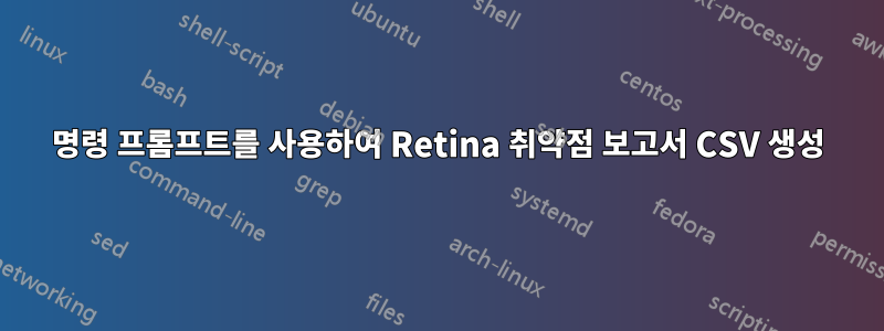 명령 프롬프트를 사용하여 Retina 취약점 보고서 CSV 생성